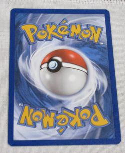 Eevee 125/203 Evolving Skies 2021 Reverse Holo Pokemon Card - Image 5
