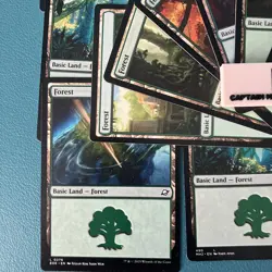20 Basic green forest land Pack (Magic The Gathering) - Regular lot bulk set NM - Image 3