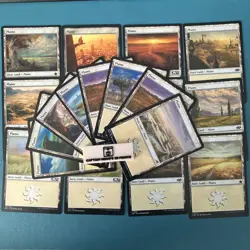 20 Basic white plain land Pack (Magic The Gathering) - Regular lot bulk set NM - Image 1