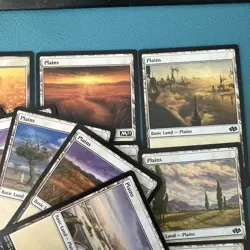 20 Basic white plain land Pack (Magic The Gathering) - Regular lot bulk set NM - Image 5