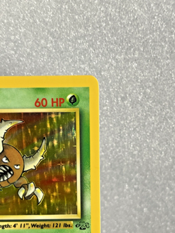 Pinsir Holo Rare Jungle 9/64 Unlimited WOTC 1999 Vintage Pokemon TCG LP/MP - Image 5