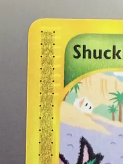 Pokemon Shuckle 96/144 Skyridge (2003) – MINT – NEVER Played – e‑Reader - Image 3
