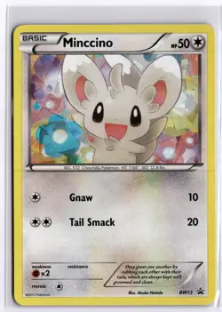 Minccino - Promo Black and White Promos BW13 NM - Image 1