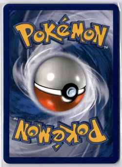 Minccino - Promo Black and White Promos BW13 NM - Image 2