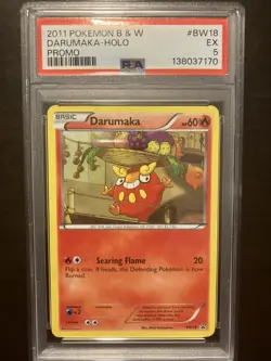 Darumaka BW18 Black & White Holo PROMO Pokemon 2011 - PSA EX 5 - Image 1
