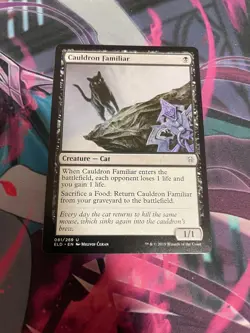 MTG - CAULDRON FAMILIAR - UNCOMMON - ELD - NM - Image 1