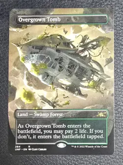Overgrown Tomb (Borderless) Unfinity Regular MTG NM Magic Card - Image 1