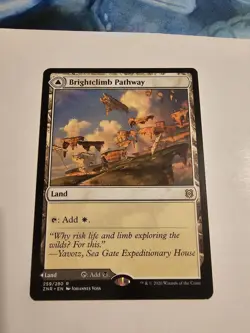 Brightclimb Pathway Zendikar Rising MTG Magic The Gathering LP - Image 1