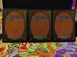 Koskun Falls Homelands Rare LP Vintage MTG - Image 2