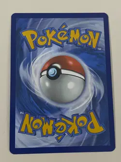 Pokemon - Phanpy 205/191 - Surging Sparks Illustration Rare NM - Plus Free Card - Image 2