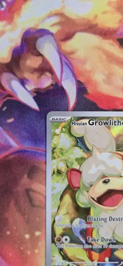 Hisuian Growlithe 181 - Twilight Masquerade - Full Art - Pokemon Card TCG - Image 2
