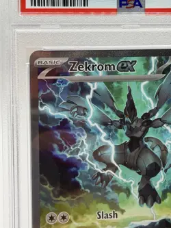 Zekrom EX Special Illustration Rare Pokemon Black Bolt PSA 10 Gem Mint 💎 - Image 2
