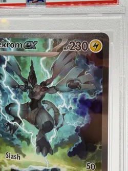 Zekrom EX Special Illustration Rare Pokemon Black Bolt PSA 10 Gem Mint 💎 - Image 3