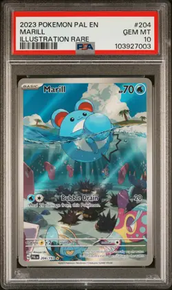 2023 Pokemon Paldea Evolved Marill Illustration Rare 204/193 PSA 10 - Image 1