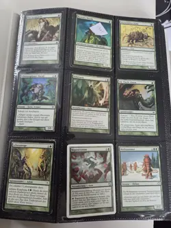 Magic The Gathering Sammlung Im Sammelordner / Binder Altere MTG Karten Karten - Image 3