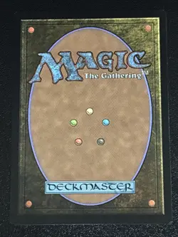 MTG Commander: Secrets of Strixhaven Turbulent Wilderness 0059 NM Rare - Image 2