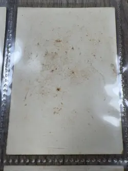 1976 Donruss Skateboard Sticker Cards Lot Of 11 Please Read Description #JB01 - Image 4