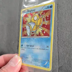 Sealed Magikarp XY143 XY Promo Holo Pokemon TCG Card English Basic 30 HP - Image 4