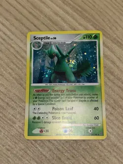 Sceptile 10/100 Stormfront Holo Tail Swirl🍭 Mp Condition Mid Era Pokemon Card - Image 2