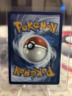 Team Rocket's Wobbuffet 203 Promo Scarlet & Violet Promos Near Mint - Image 2