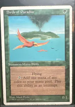 MTG : Birds of Paradise - 1995 Core Set 4th Edition - Vintage - LITE PLAY - Worn - Image 1