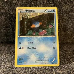 Pokemon Mudkip Holo Promo 005/012 McDonald's 2015 EN - MP - Image 1