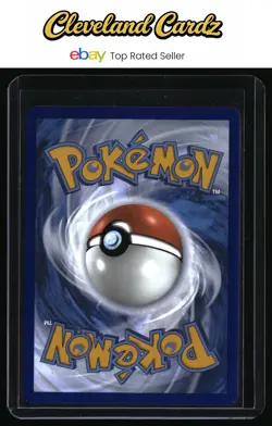 SV: Scarlet & Violet Promo Cards #161 Charizard ex - Image 2