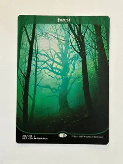 MTG Forest UST 216 Nonfoil L Lightly Played - Image 1