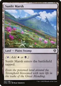 2x Sunlit Marsh - Foil Dominaria United LP MTG - Image 1