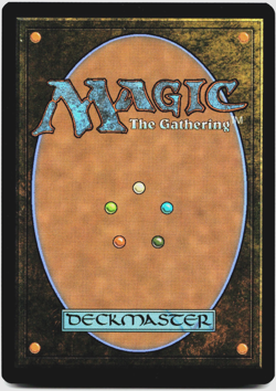 Soul Immolation (Showcase) - [Lorwyn Eclipsed] Magic - MTG ECL 0321 NM 🔥 - Image 2