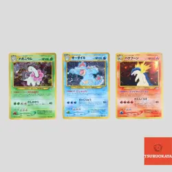 Typhlosion Feraligatr Meganium Premium File set Holo Japanese Pokemon(B rank) - Image 1