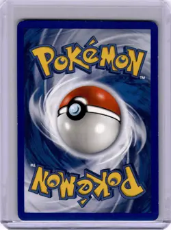 Pokemon Squirtle Common Team Magma vs Team Aqua 46/95 LP - Image 2