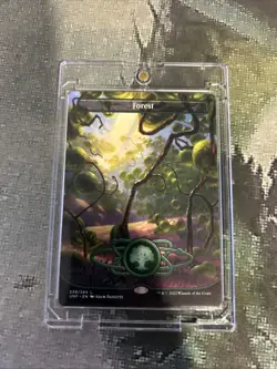 MTG Forest (239) (Borderless) - Unfinity (UNF) #239 Magic the Gathering - Image 3