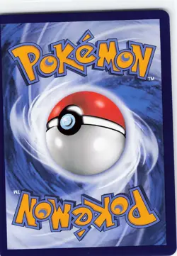 POKEMON S. CHINESE Panpour #007/115 Reverse Holo Vivid Portrayals Indigo NM - Image 2