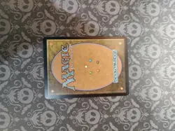 Windbrisk Raptor Shadowmoor Regular - Image 4
