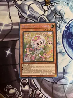 (SUDA) Yugioh Mulcharmy Meowls SUDA-EN025 Supreme Darkness 1st Edition VLP - Image 1