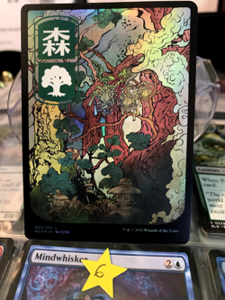 Forest (301) FOIL - JP Full Art Kamigawa: Neon Dynasty #301 Magic - Image 1
