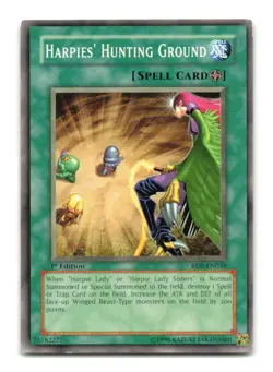 Harpies' Hunting Ground - RDS-EN038 1st Edition - YuGiOh-LP - Image 1