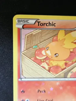 Torchic RC5/RC25 Legendary Treasures: Radiant Collection Holo Pokemon Card 2013 - Image 3
