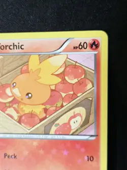 Torchic RC5/RC25 Legendary Treasures: Radiant Collection Holo Pokemon Card 2013 - Image 4