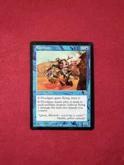 Floodgate - Mirage Magic The Gathering MTG 90’s Classic Vintage - Image 1