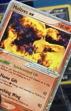 USA Seller - Pokemon Moltres ex Holo Black Star Promo EX 031 TCG NM/LP+ - Image 1