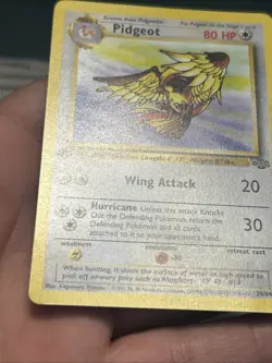 Pokemon TCG Pidgeot 24/64 1st Edition Jungle 1999 Non Holo Rare- NM/ LP - Image 4