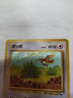 [NM-] Pidgey No.016 Vending Series Glossy Japanese Pokemon Card 7622 - Image 2