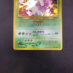 Meganium Holo Neo Premium File Promo - Japanese Pokemon Card - 2000 - Image 4