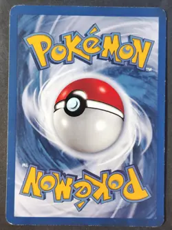 Dewgong 25/102 ✰Vintage✰ Base Set, WOTC Pokemon 2000 •LP - Image 2