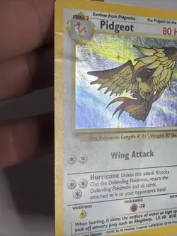 Pidgeot 8/64 Holo Rare Pokemon 1999 Jungle - LP - Image 2