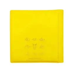 Pokemon S-Chinese Sealed Gift Box Jolteon Eevee GX theme 480 slots Card Binder - Image 2