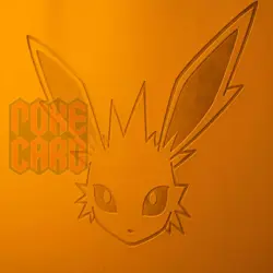 Pokemon S-Chinese Sealed Gift Box Jolteon Eevee GX theme 480 slots Card Binder - Image 5