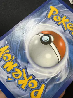 Mudkip - 5/12 - Pokemon McDonald's Promos Holo 2014-2015 (HP) - Image 3